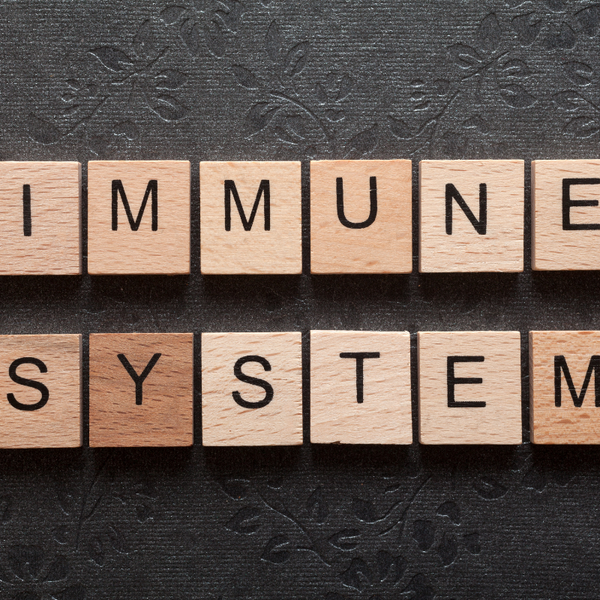 Supporting Your Immune System for Optimal Health