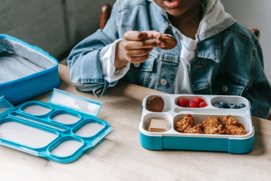Nutrition Education Should Be Included in School System