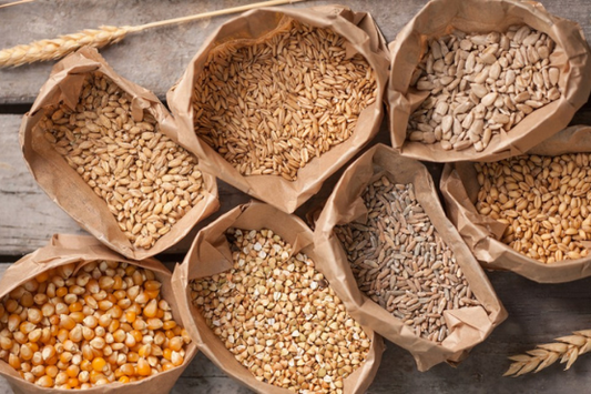 Beta Glucan: The Beneficial Fiber