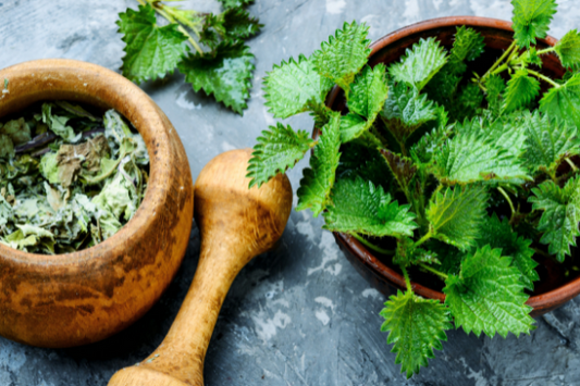 Stinging Nettle and Breastfeeding