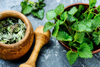 Stinging Nettle and Breastfeeding