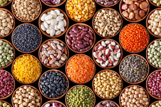 Legumes: The Nutritional Powerhouse