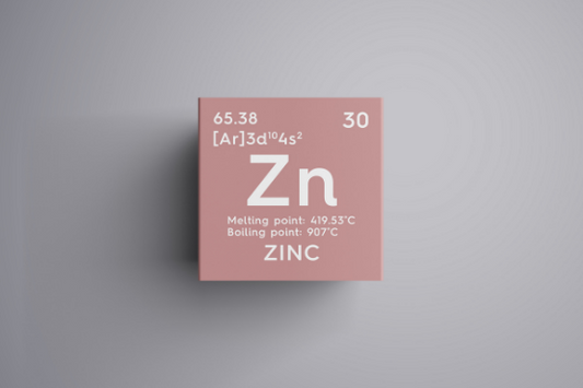 Foods Packed with Zinc to Help Improve Your Immune System Naturally