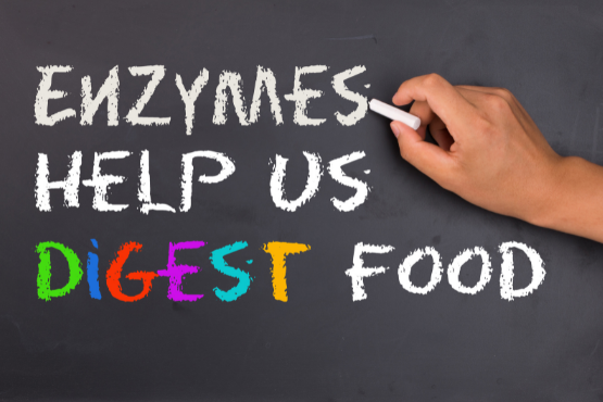 Foods That Contain Natural Digestive Enzymes