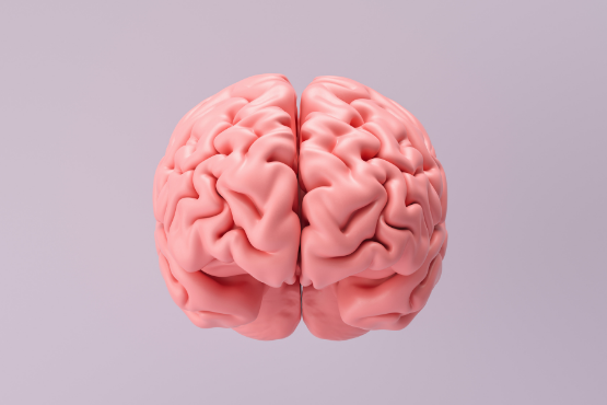 What Is the Glymphatic System?