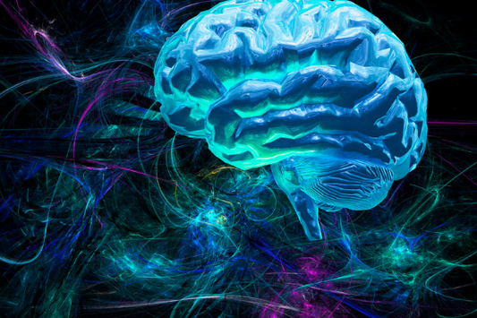 How Depression Affects the Gut