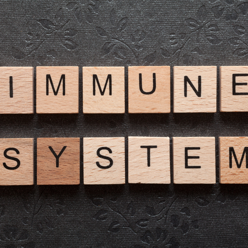 Supporting Your Immune System for Optimal Health