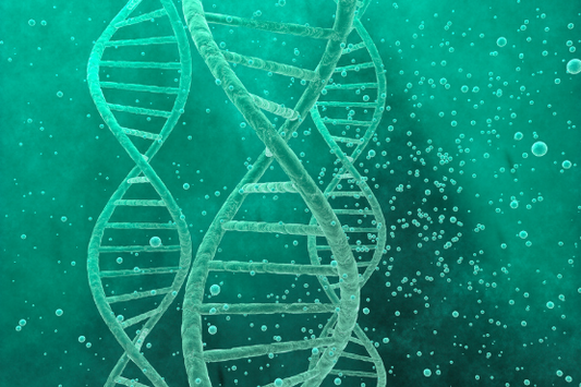 What Are Cancer-Producing Foods?