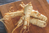 Why Ginseng is the Ultimate Game-Changer for Your Fitness Routine