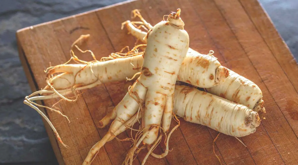 Why Ginseng is the Ultimate Game-Changer for Your Fitness Routine