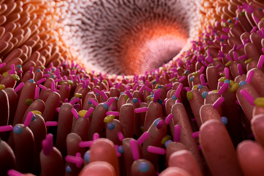 Three Ways To Naturally Increase Good Bacteria In Your Gut