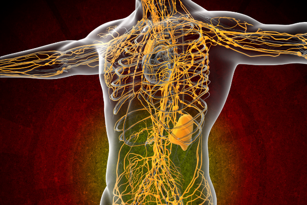 How to Cleanse the Lymphatic System